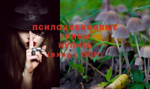 наркотики Дмитриев